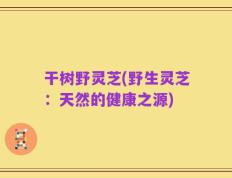 干树野灵芝(野生灵芝：天然的健康之源)