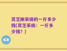 灵芝刚采摘的一斤多少钱(灵芝采摘：一斤多少钱？)