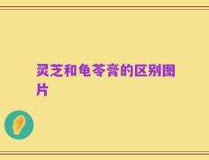 灵芝和龟苓膏的区别图片