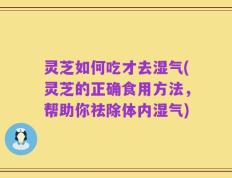 灵芝如何吃才去湿气(灵芝的正确食用方法，帮助你祛除体内湿气)