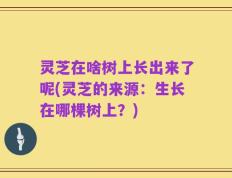灵芝在啥树上长出来了呢(灵芝的来源：生长在哪棵树上？)