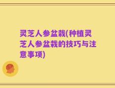 灵芝人参盆栽(种植灵芝人参盆栽的技巧与注意事项)