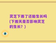 灵芝下雨了还能生长吗(下雨天是否影响灵芝的生长？)
