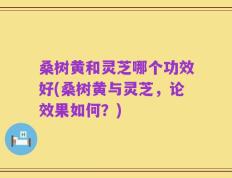 桑树黄和灵芝哪个功效好(桑树黄与灵芝，论效果如何？)