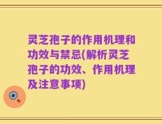 灵芝孢子的作用机理和功效与禁忌(解析灵芝孢子的功效、作用机理及注意事项)