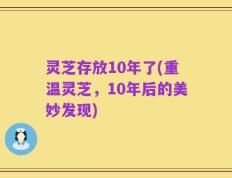 灵芝存放10年了(重温灵芝，10年后的美妙发现)
