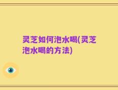 灵芝如何泡水喝(灵芝泡水喝的方法)