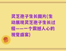 灵芝孢子生长图片(生动展现灵芝孢子生长过程——一个震撼人心的视觉盛宴)