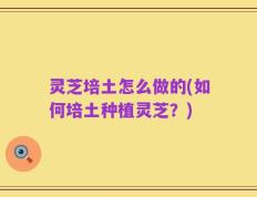 灵芝培土怎么做的(如何培土种植灵芝？)