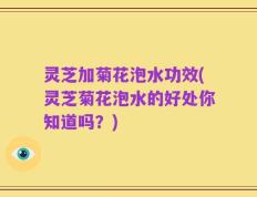 灵芝加菊花泡水功效(灵芝菊花泡水的好处你知道吗？)