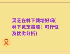 灵芝在林下栽培好吗(林下灵芝栽培：可行性及优劣分析)