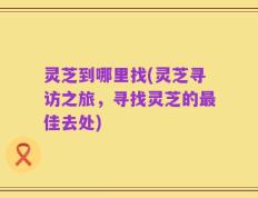 灵芝到哪里找(灵芝寻访之旅，寻找灵芝的最佳去处)