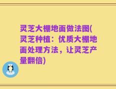 灵芝大棚地面做法图(灵芝种植：优质大棚地面处理方法，让灵芝产量翻倍)
