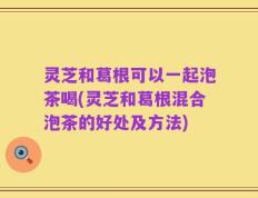 灵芝和葛根可以一起泡茶喝(灵芝和葛根混合泡茶的好处及方法)
