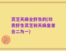 灵芝天麻全野生的(珍贵野生灵芝和天麻皇者合二为一)