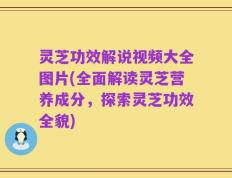 灵芝功效解说视频大全图片(全面解读灵芝营养成分，探索灵芝功效全貌)