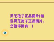 灵芝孢子正品图片(精选灵芝孢子正品图片，您值得拥有！)