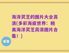 海洋灵芝的图片大全高清(多彩海底世界：精美海洋灵芝高清图片合集！)