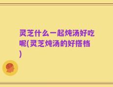 灵芝什么一起炖汤好吃呢(灵芝炖汤的好搭档)