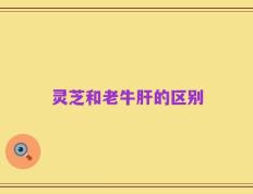 灵芝和老牛肝的区别