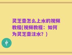 灵芝壶怎么上水的视频教程(视频教程：如何为灵芝壶注水？)