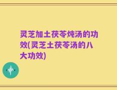 灵芝加土茯苓炖汤的功效(灵芝土茯苓汤的八大功效)