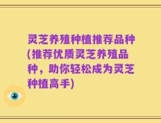 灵芝养殖种植推荐品种(推荐优质灵芝养殖品种，助你轻松成为灵芝种植高手)