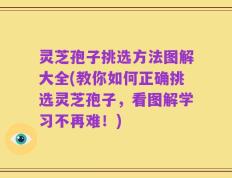 灵芝孢子挑选方法图解大全(教你如何正确挑选灵芝孢子，看图解学习不再难！)