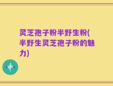 灵芝孢子粉半野生粉(半野生灵芝孢子粉的魅力)