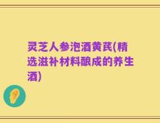 灵芝人参泡酒黄芪(精选滋补材料酿成的养生酒)