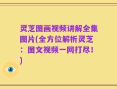 灵芝图画视频讲解全集图片(全方位解析灵芝：图文视频一网打尽！)