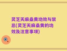 灵芝天麻桑黄功效与禁忌(灵芝天麻桑黄的功效及注意事项)