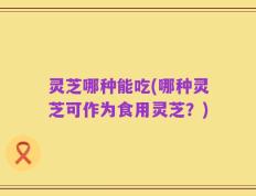 灵芝哪种能吃(哪种灵芝可作为食用灵芝？)