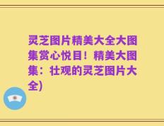 灵芝图片精美大全大图集赏心悦目！精美大图集：壮观的灵芝图片大全)