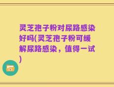 灵芝孢子粉对尿路感染好吗(灵芝孢子粉可缓解尿路感染，值得一试)