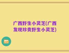 广西野生小灵芝(广西发现珍贵野生小灵芝)