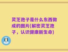 灵芝孢子是什么东西做成的图片(解密灵芝孢子，认识健康新生命)