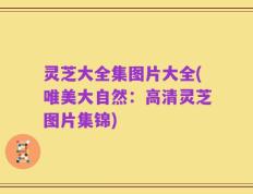 灵芝大全集图片大全(唯美大自然：高清灵芝图片集锦)