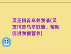 灵芝何首乌养发液(灵芝何首乌萃取液，帮助促进发根营养)