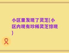 小区里发现了灵芝(小区内现有珍稀灵芝惊现)