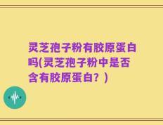 灵芝孢子粉有胶原蛋白吗(灵芝孢子粉中是否含有胶原蛋白？)