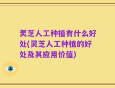 灵芝人工种植有什么好处(灵芝人工种植的好处及其应用价值)