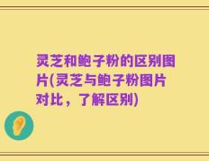 灵芝和鲍子粉的区别图片(灵芝与鲍子粉图片对比，了解区别)