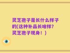 灵芝孢子是长什么样子的(这种补品长啥样？灵芝孢子现身！)