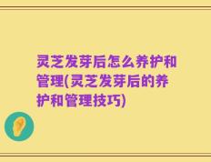 灵芝发芽后怎么养护和管理(灵芝发芽后的养护和管理技巧)