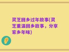 灵芝回乡过年故事(灵芝重温回乡故事，分享家乡年味)