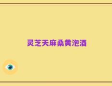灵芝天麻桑黄泡酒