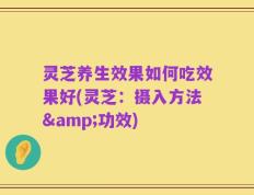 灵芝养生效果如何吃效果好(灵芝：摄入方法&功效)
