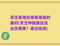 灵芝基地在哪里建造的最好(灵芝种植最佳选址在哪里？建议指南)