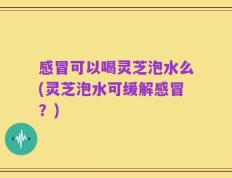 感冒可以喝灵芝泡水么(灵芝泡水可缓解感冒？)